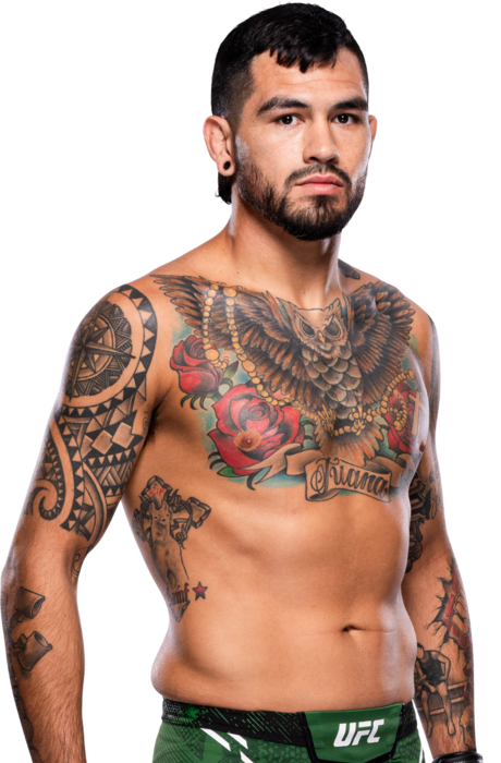 Anthony Hernandez UFC fighter profile - 15-2-0 record - AI insight and stats