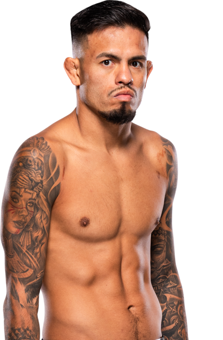 Brandon Royval UFC fighter profile - 17-8-0 record - AI insight and stats
