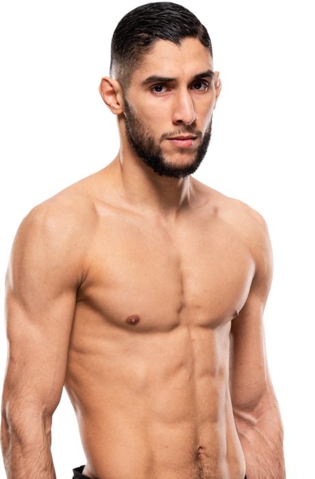 Fares Ziam UFC fighter profile - 17-4-0 record - AI insight and stats