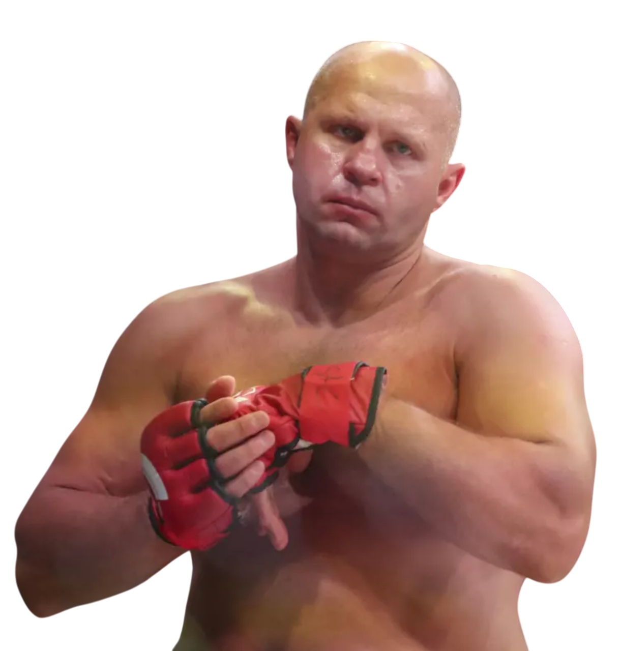 Fedor Emelianenko