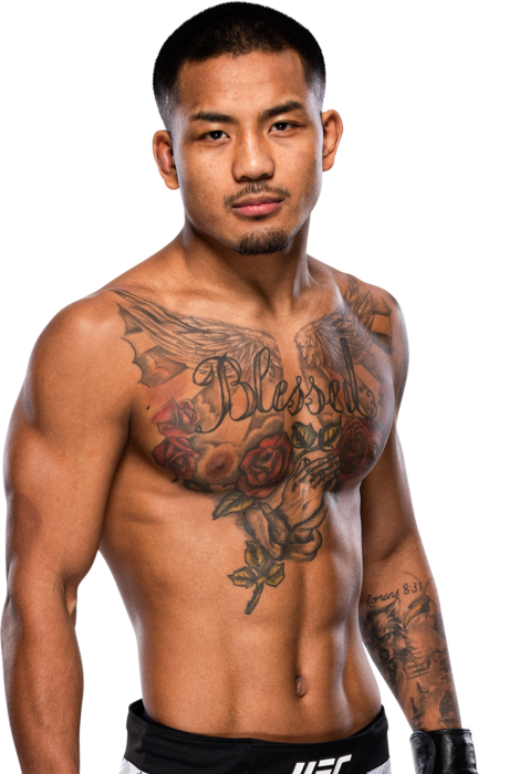 Joshua Van UFC fighter profile - 15-2-0 record - AI insight and stats