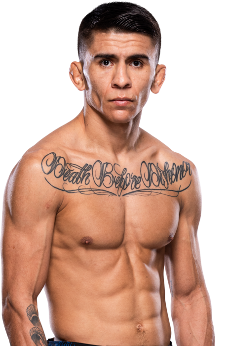 Mario Bautista UFC fighter profile - 16-2-0 record - AI insight and stats