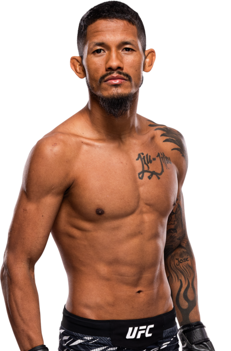 Rafael Estevam UFC fighter profile - 14-0-0 record - AI insight and stats